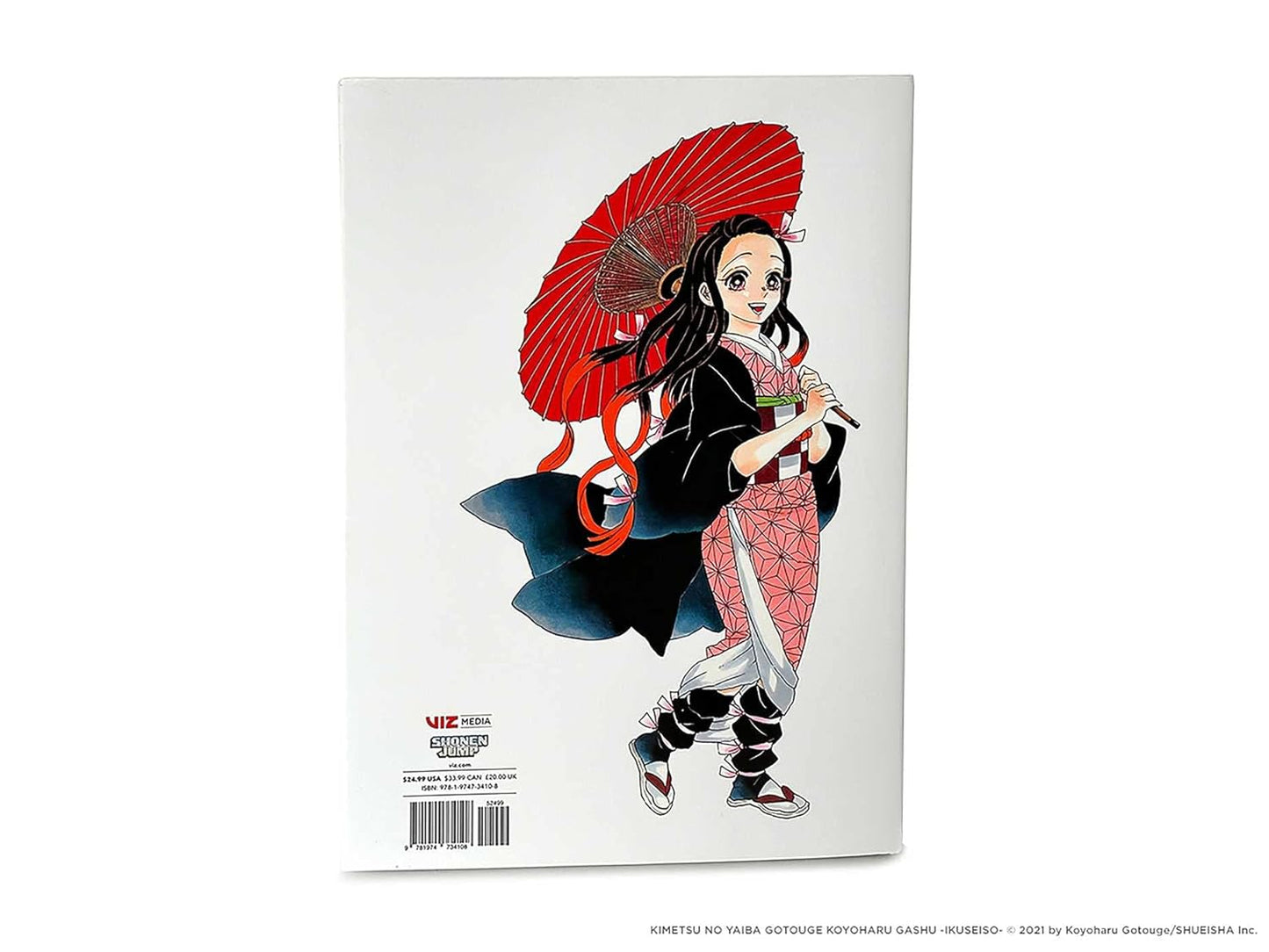 The Art Of Demon Slayer