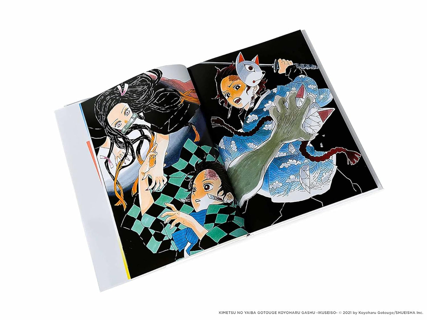 The Art Of Demon Slayer