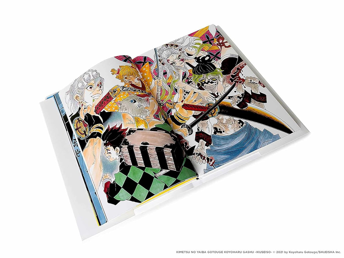 The Art Of Demon Slayer