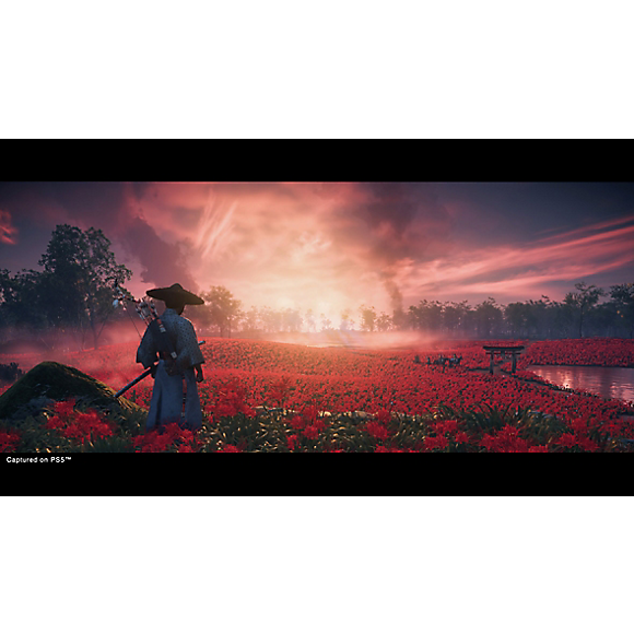 Ghost of Tsushima Director's Cut - PS5