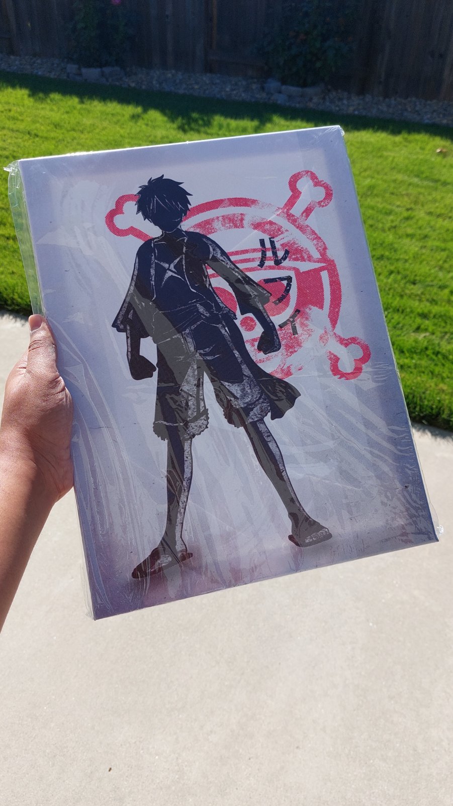 Luffy Canvas Wall Art