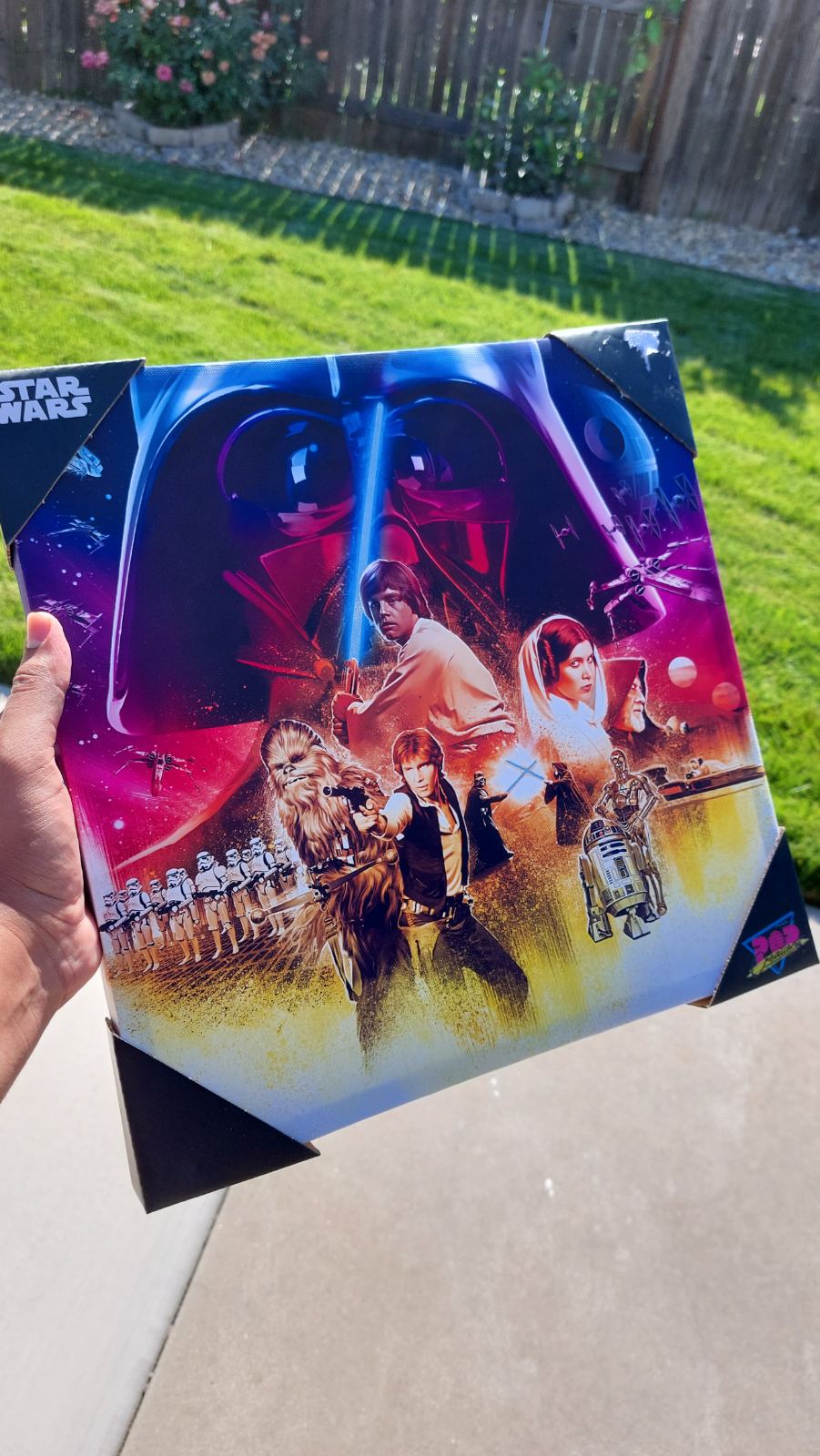 Star Wars Canvas Wall Art