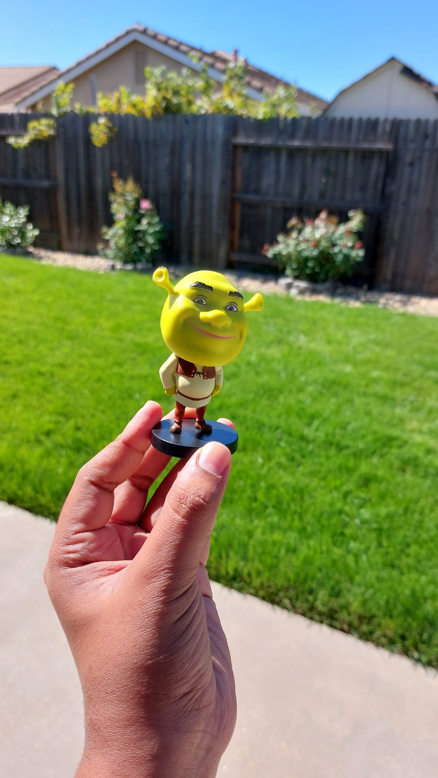 Shrek Bobble-head