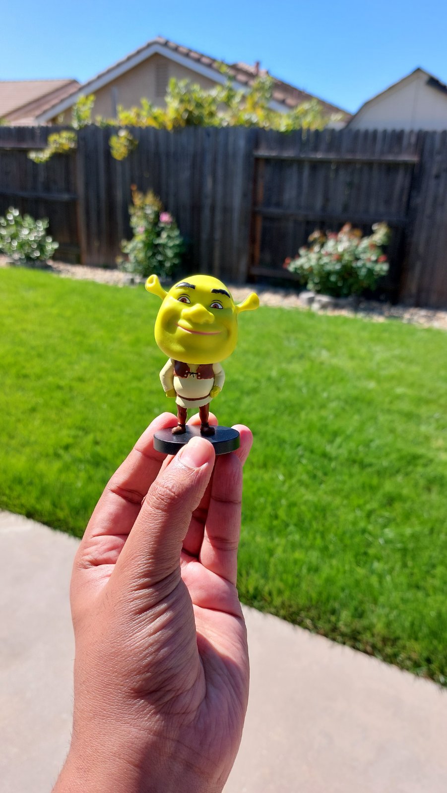 Shrek Bobble-head