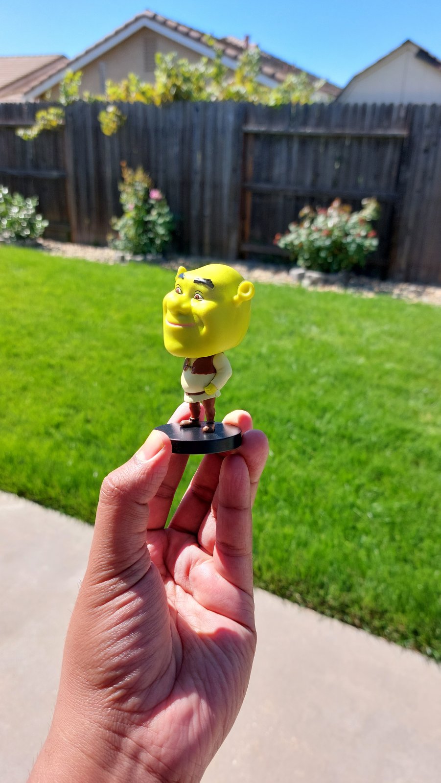 Shrek Bobble-head